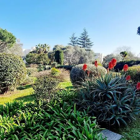 Avec Piscine * Antibes